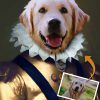 Royal Pet Masterpiece Portrait of dog 2