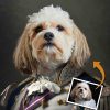 Military Pad Style Royal Pet Portrait Custom Pet Painting